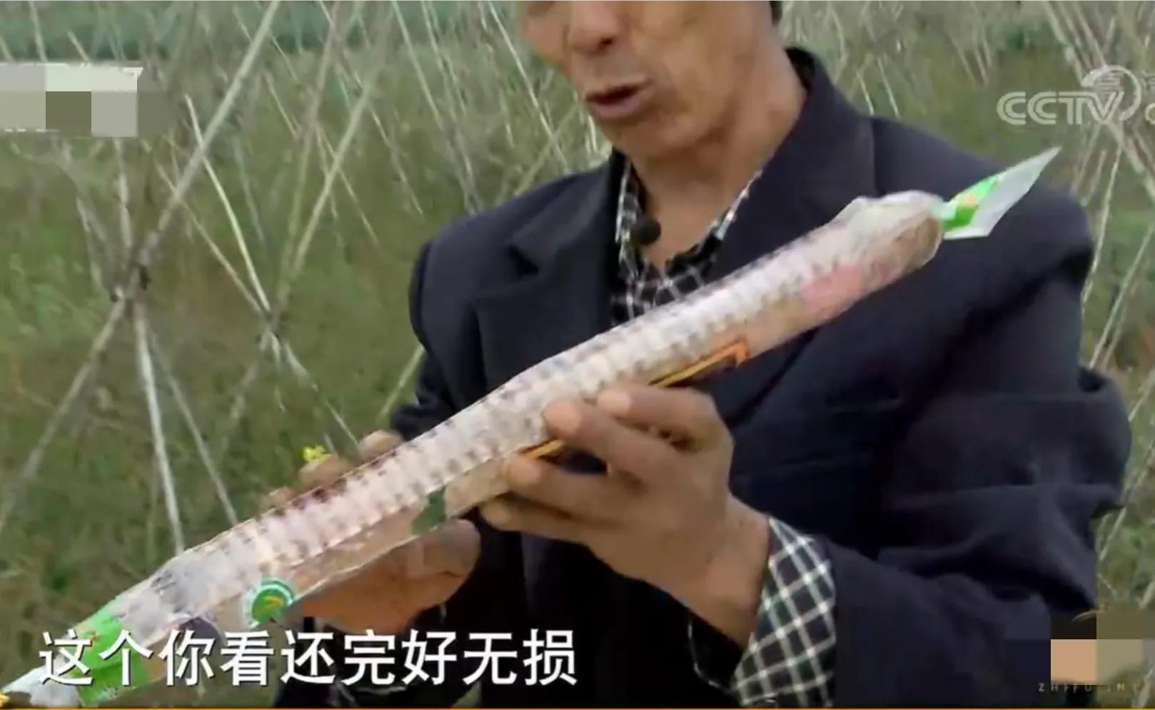 农村小伙承包400多亩地,小伙承包500亩地种特产如今暴富