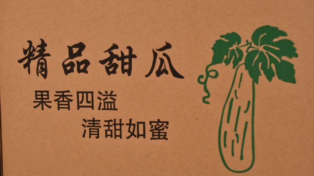 惠民麻店：农村电商如双翼麻店瓜菜飞全国