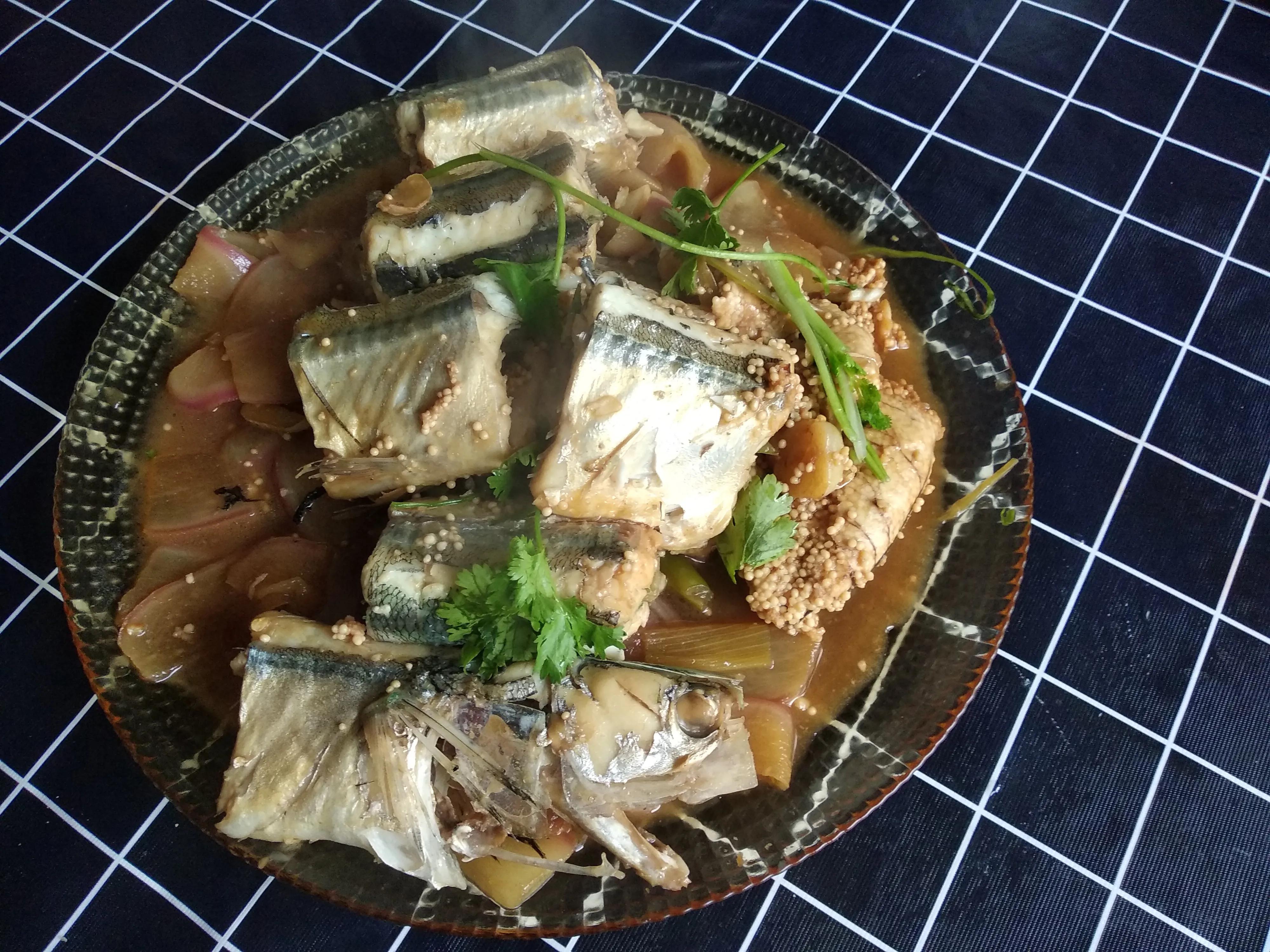 15种常见的海鱼,100种常见食用海鱼图谱