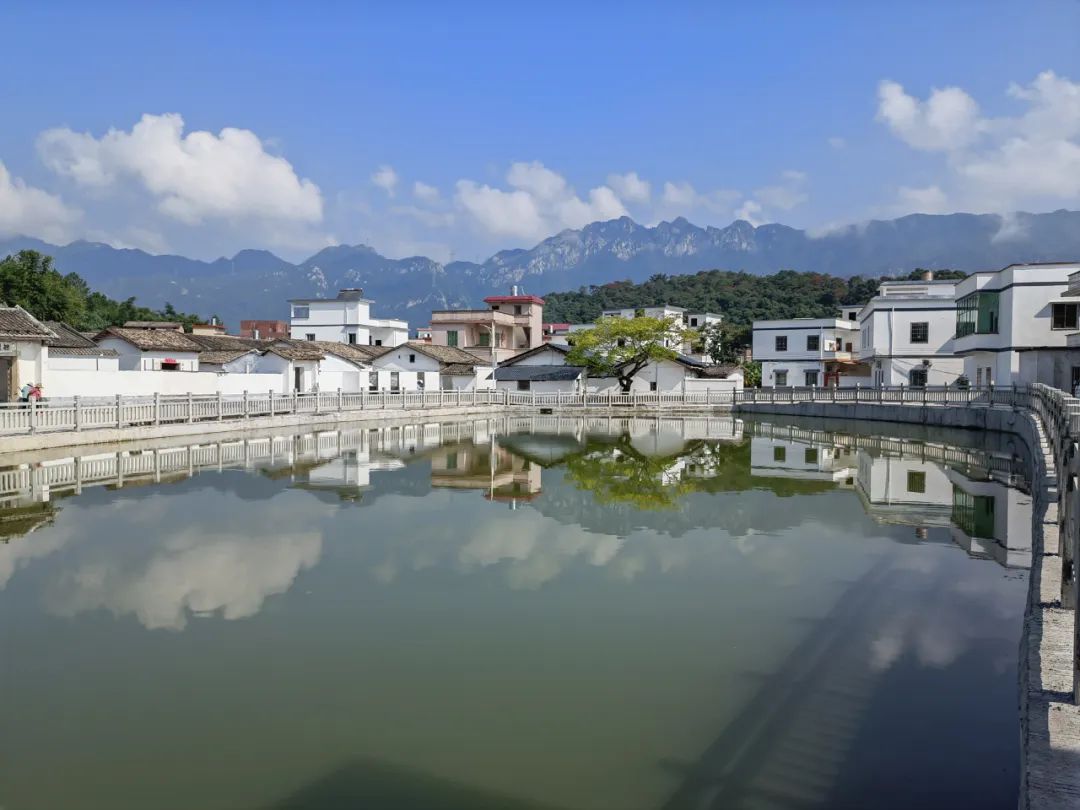 佛冈这十年：农业更强、农村更美、农民更富