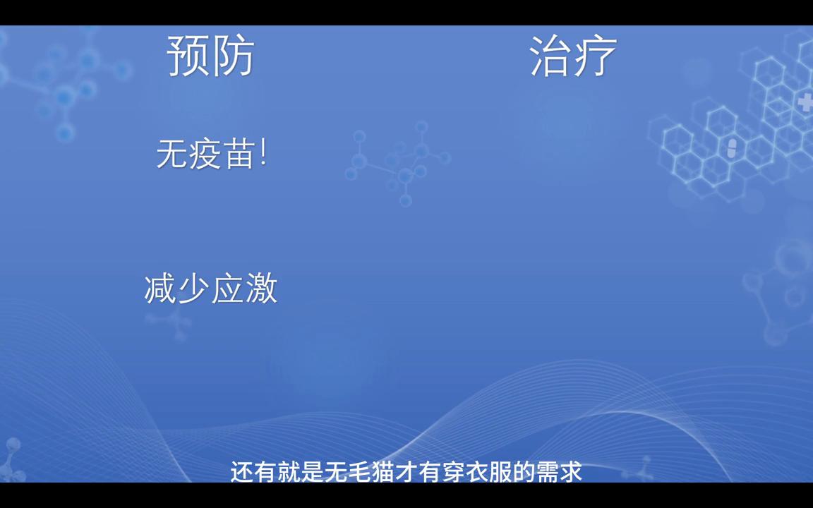 猫传染性腹膜炎和猫传腹一样吗,猫传染性腹膜炎治疗要多少钱