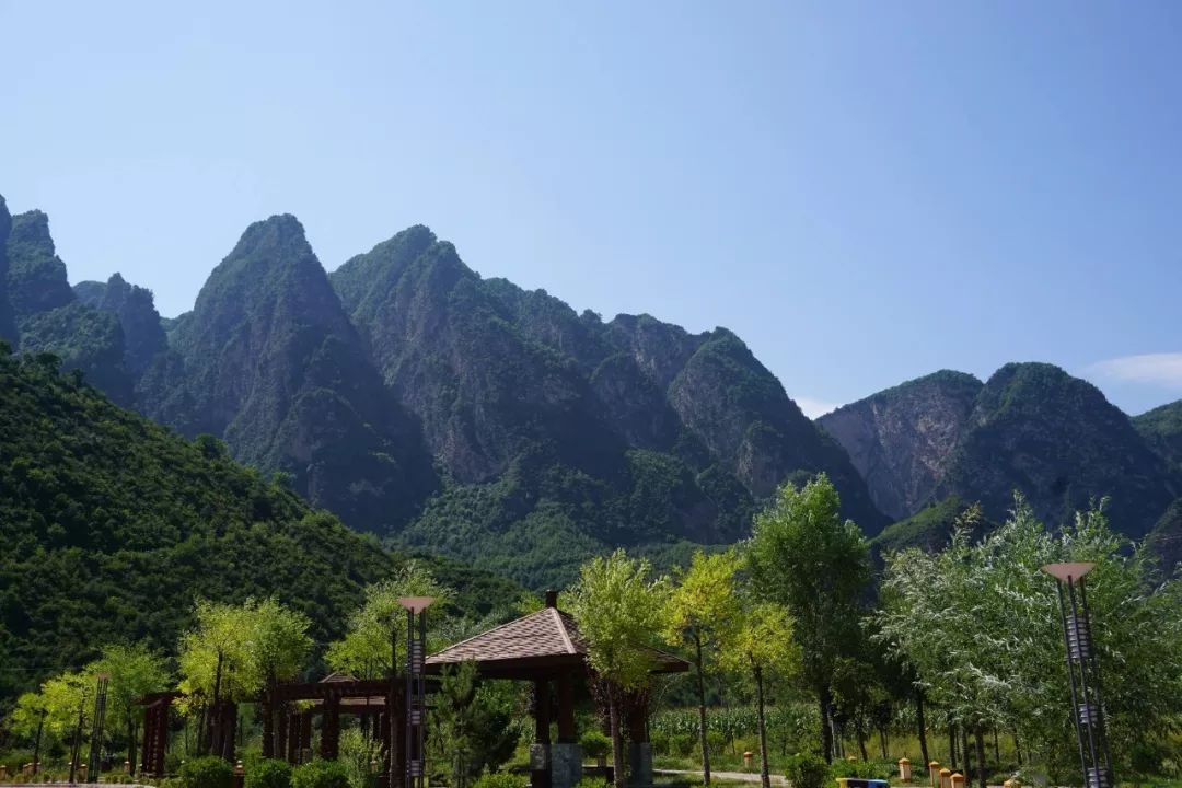 最美人间四月天美景,最美人间四月天治愈系风景