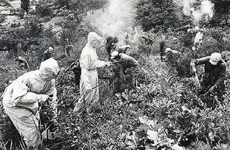 日本侵华老兵在黑龙江,2004年日本老兵到巴彦