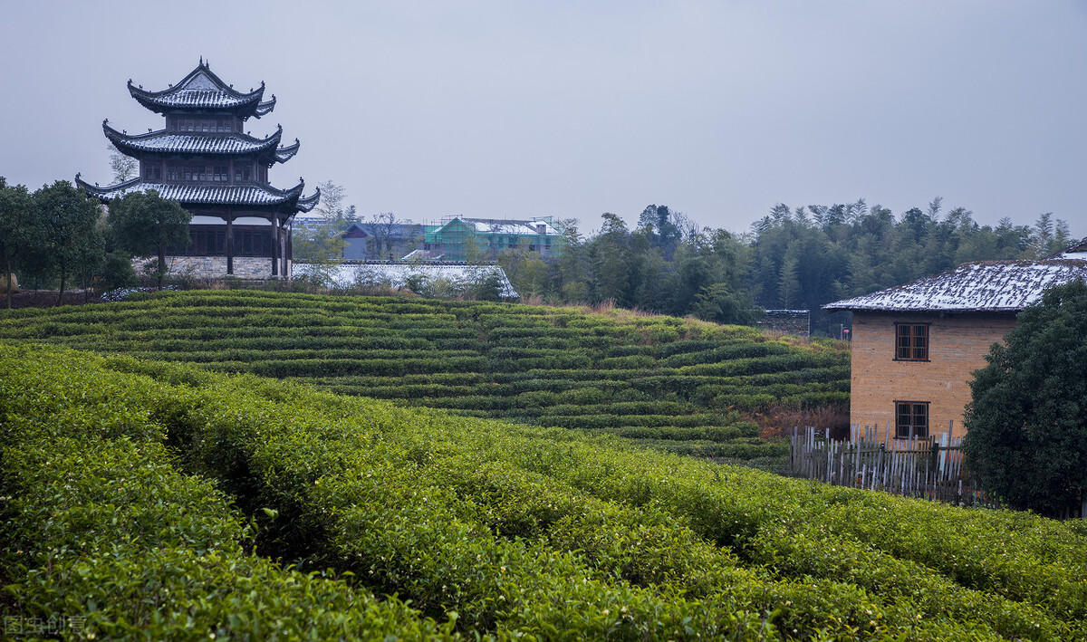 上海至重庆游轮哪个最好,重庆到上海十五天游轮价格表