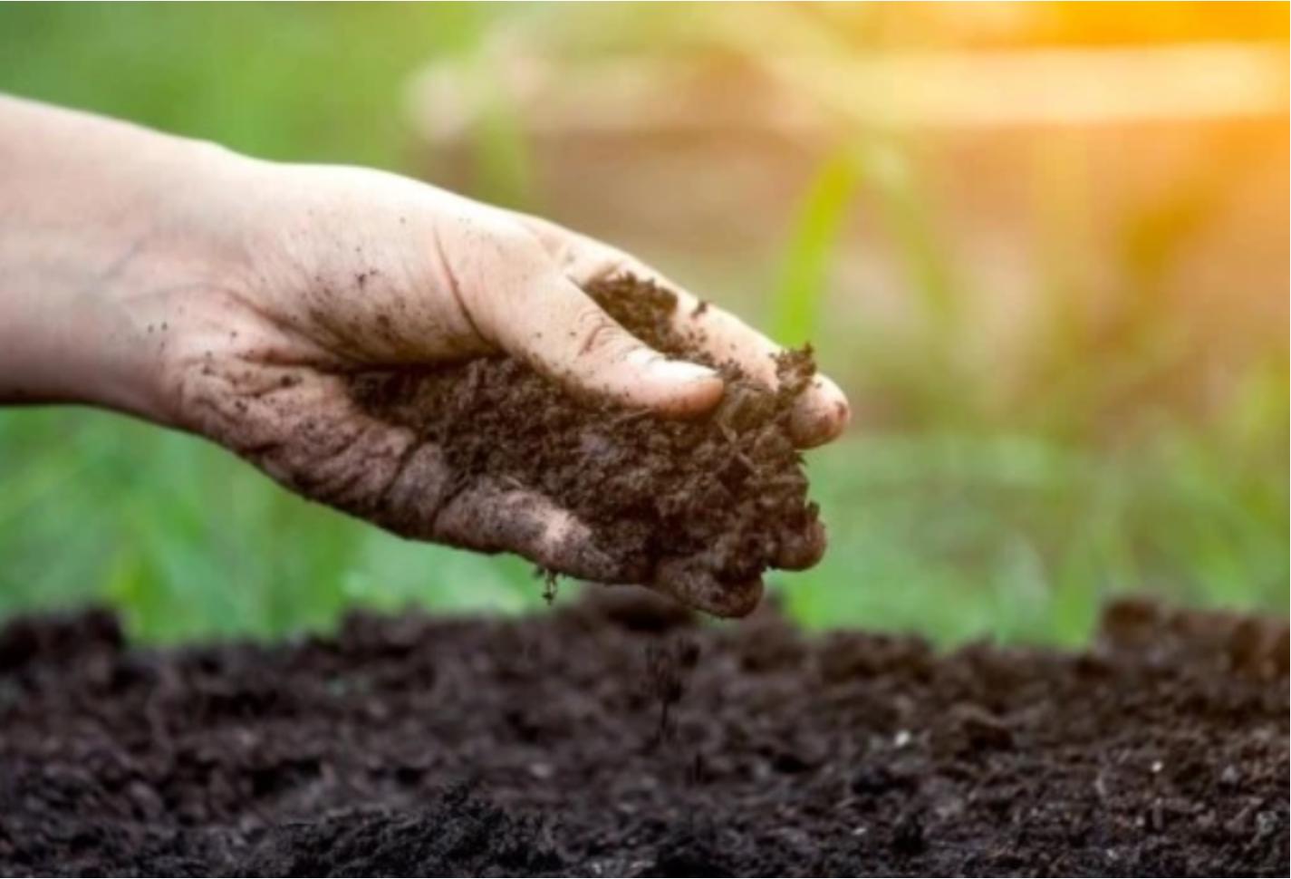 电蚯蚓危害真实案例,电蚯蚓出事故