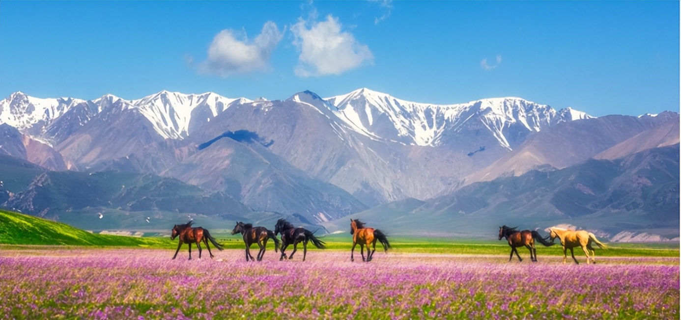 tiggo瑞虎9试驾,tiggo瑞虎9舒享版