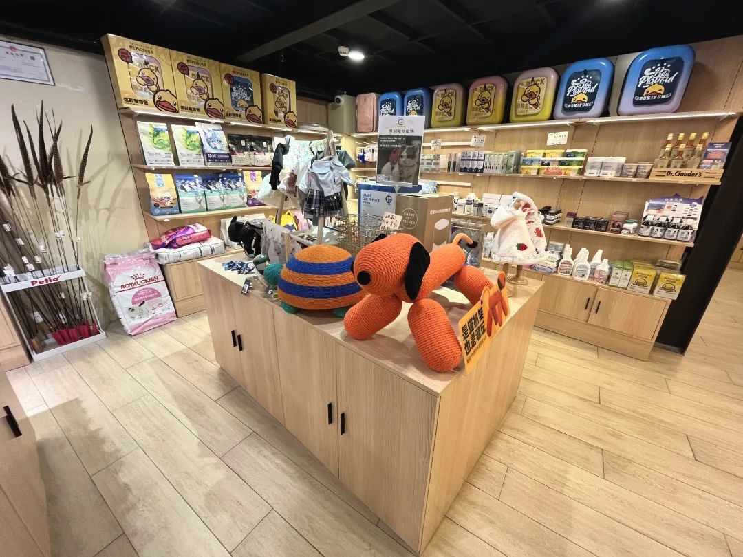 袖虎宠物店 (袖虎猫馆开店)