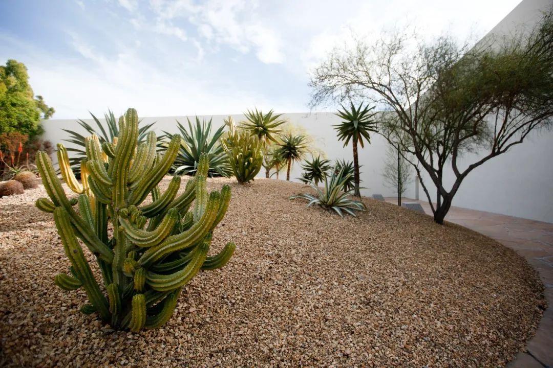 野口勇加州景观,野口勇的加州剧本