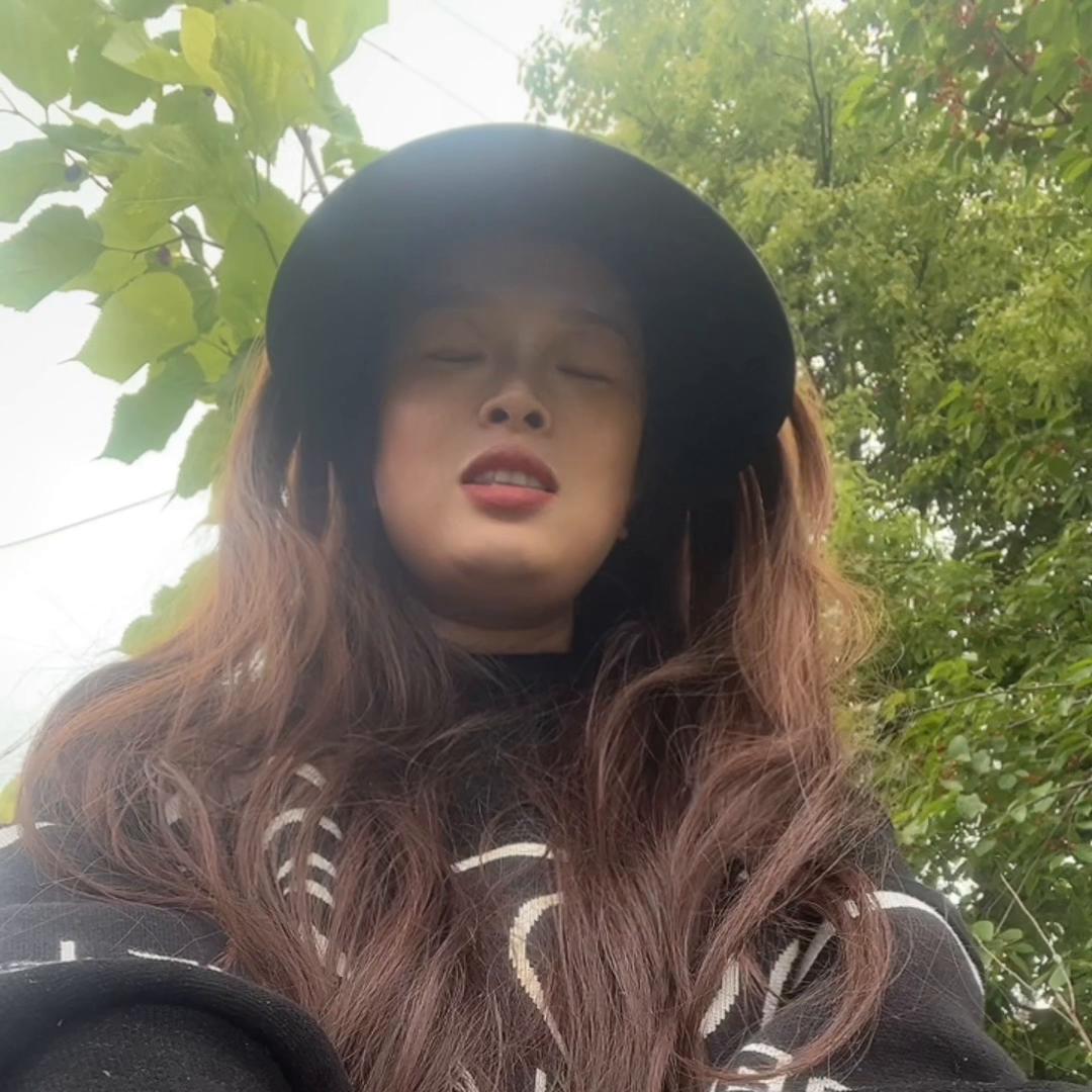 找不到答案就去感受风吧谱子,找不到答案就去看世界