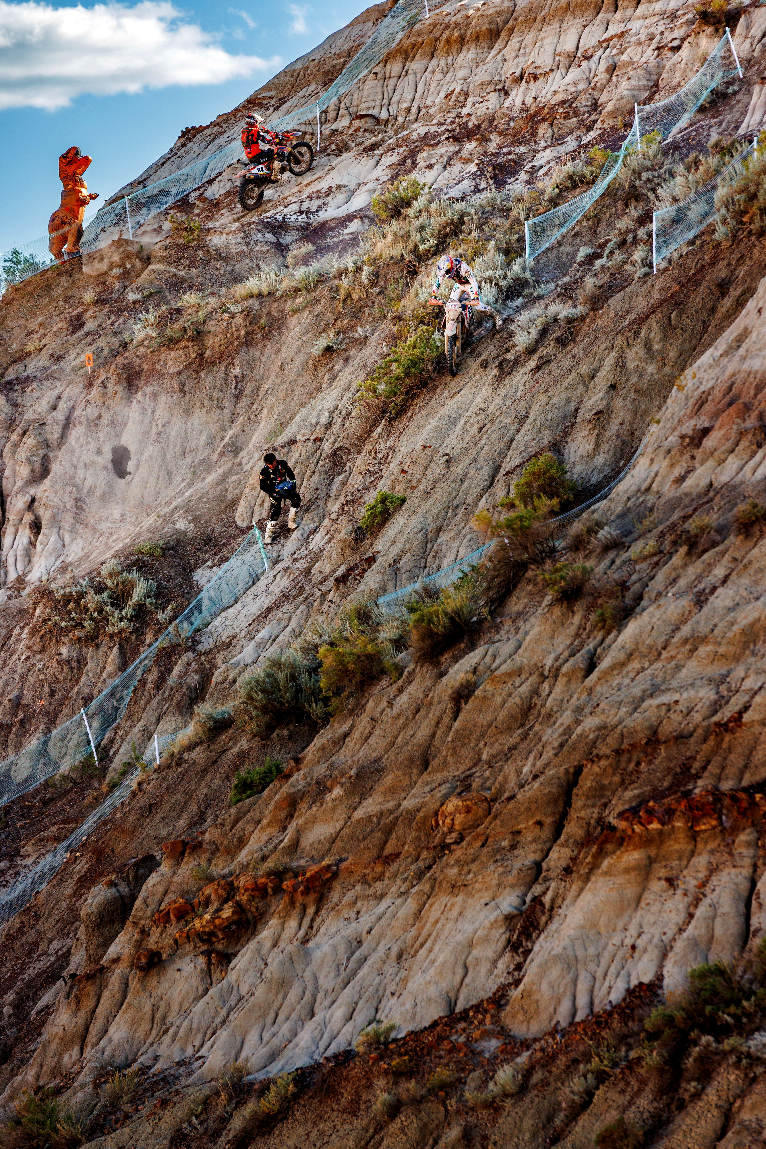 德国拉力赛车手,德国自行车选手七次获得冠军