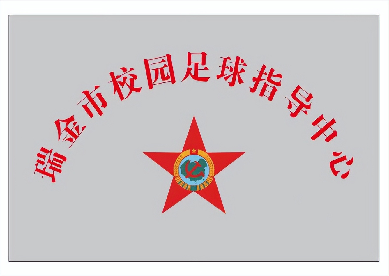 派迪茵体育用品有限公司,派迪茵足球比赛