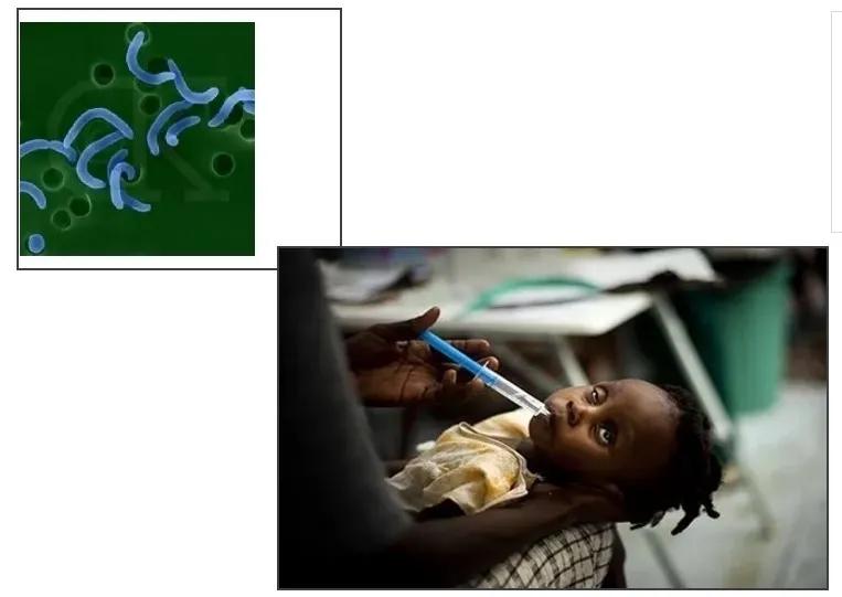 止泻药不能随便吃,最好用的止泻药