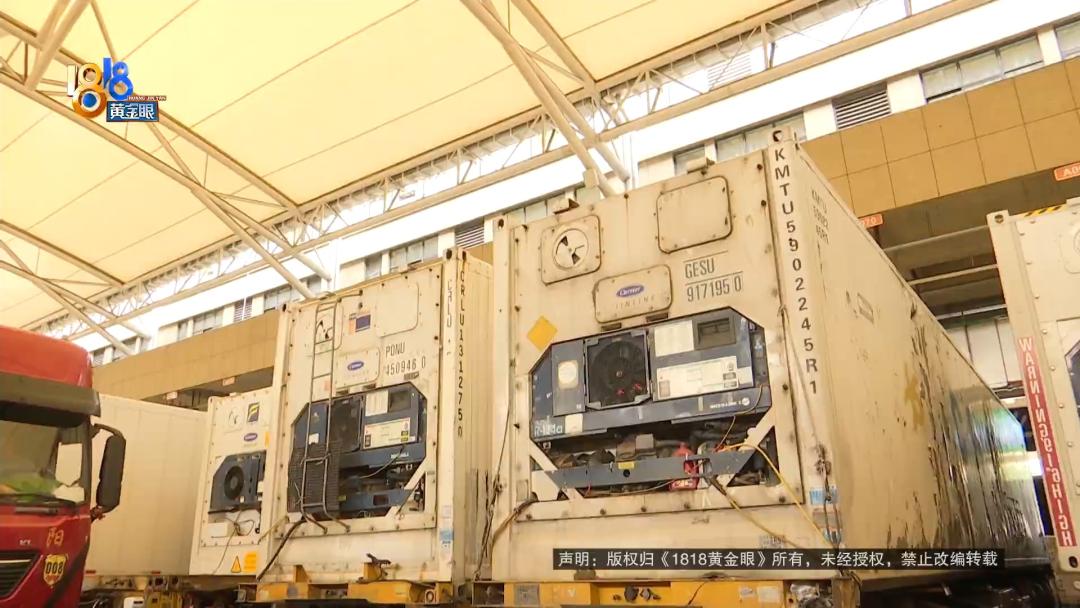 被骗打工被打视频,被骗又被打