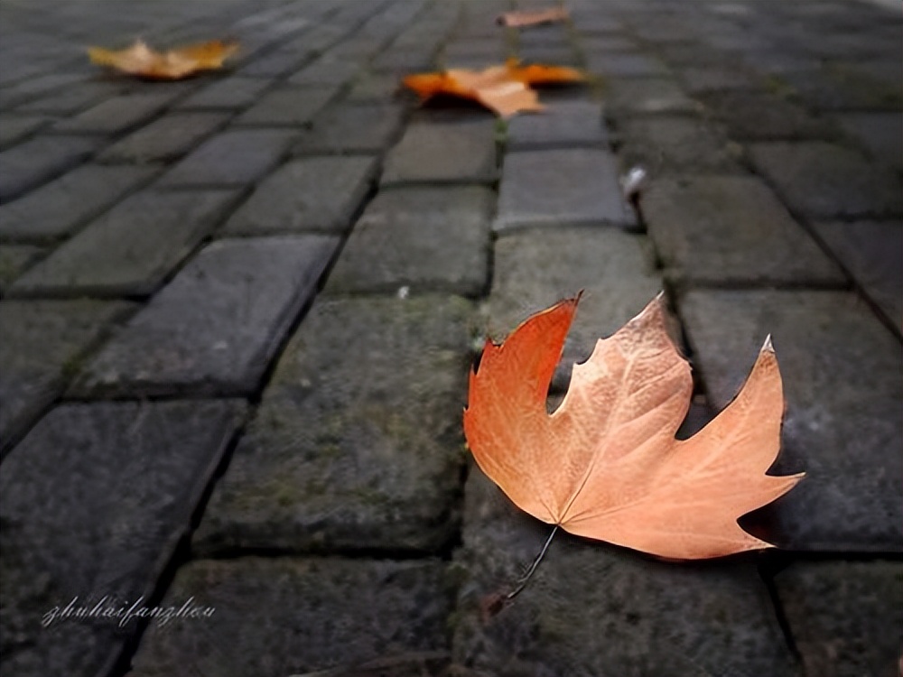 970万自媒体，近11亿网民，饕餮狂欢后，剩下的是满地鸡毛