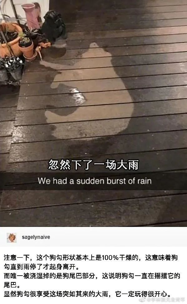 谐音梗搞笑段子全部,谐音梗搞笑的段子