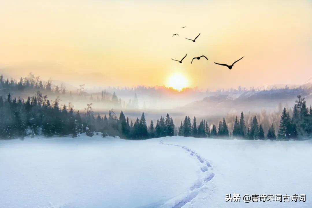 古诗词中托物言志的事物,古诗词中蕴含的文化