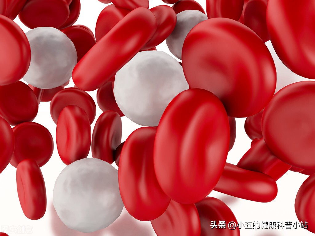 老年人白细胞2.6多无任何症状,老年人白细胞增高怎么降得快点