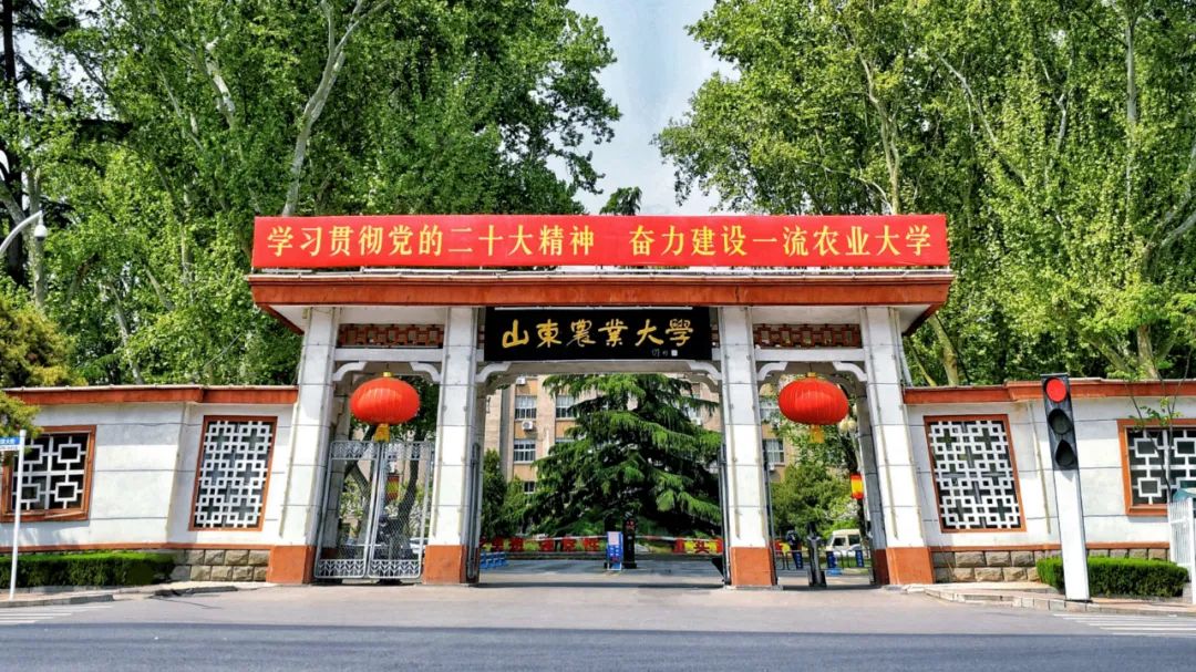 2023年山东596分考什么大学,山东2023二百多分能上什么大学