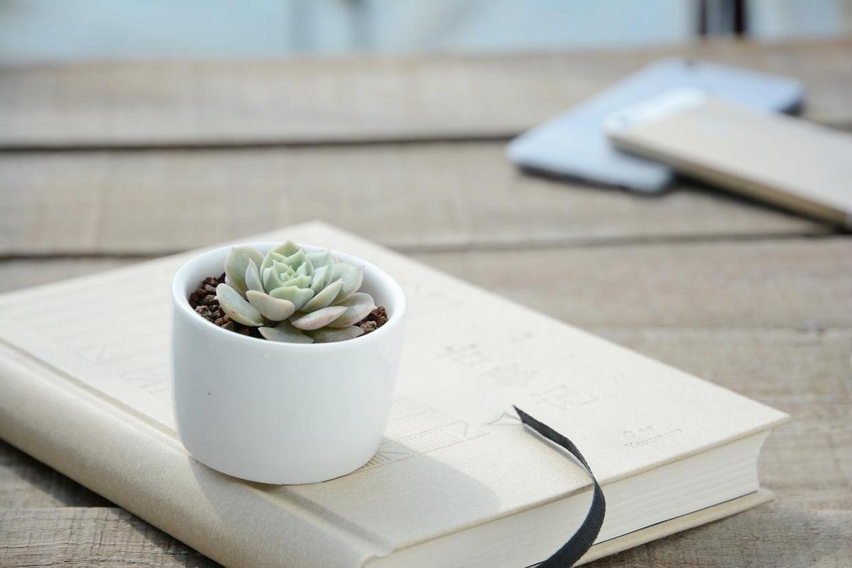 一个人对感情太认真怎么办,聪明的人对待感情越专一