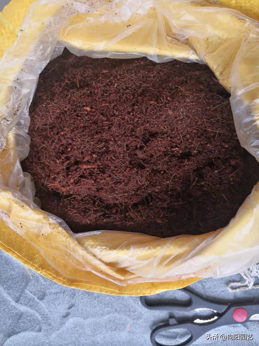 进口泥炭土哪个好,进口十大泥炭土排行