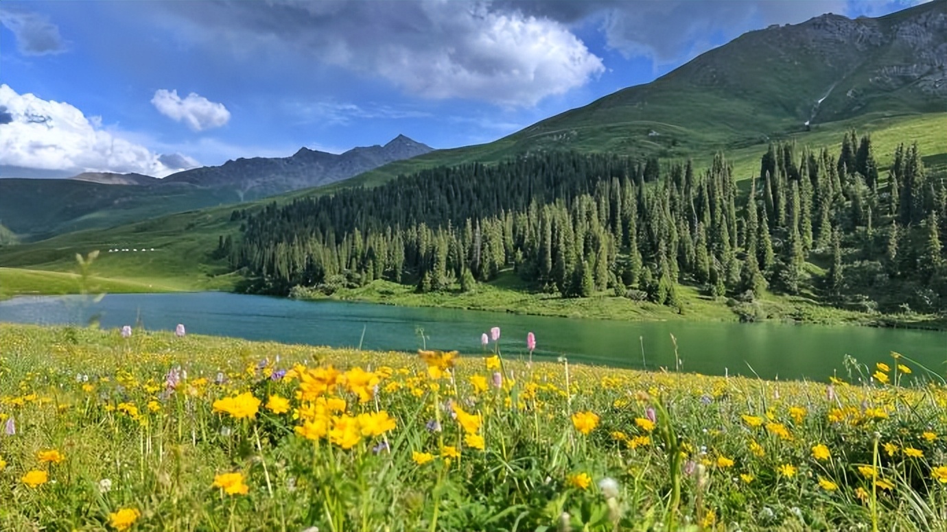 *疆新**为什么不包邮?看完*疆新**有多大就清楚了