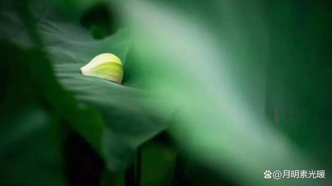 外汇投资方法和技巧,外汇的投资方式