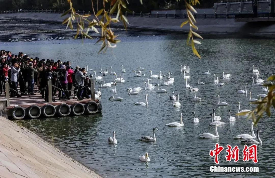 怎么刷自己的信用卡,自己怎样玩转信用卡