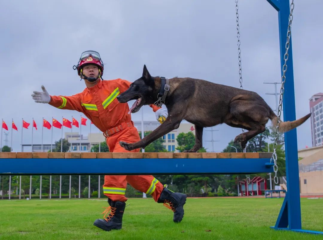 王鹏这个人怎么样,王鹏评价
