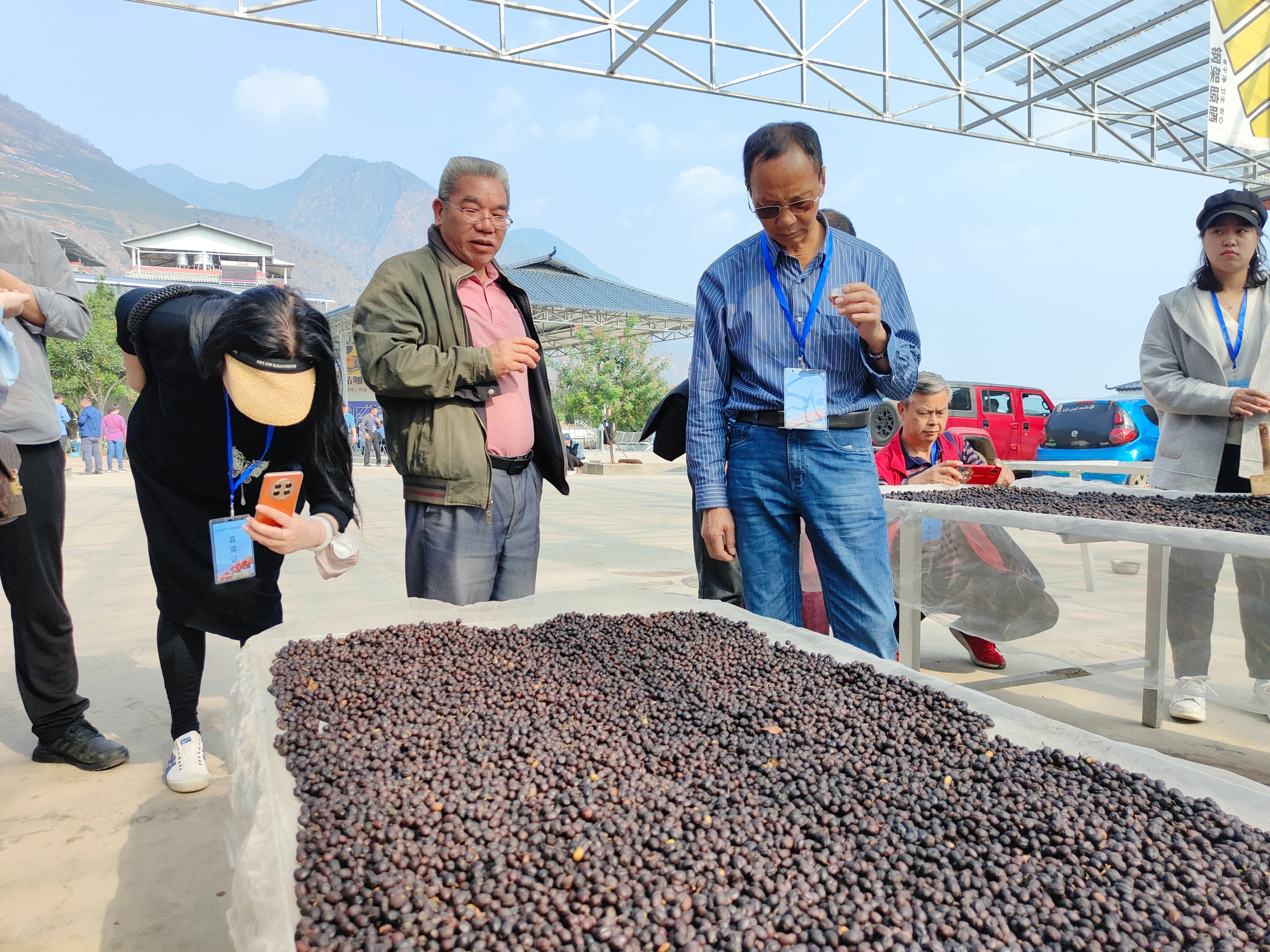 云南精品咖啡产业发展之路,云南小粒咖啡产业现状及发展前景