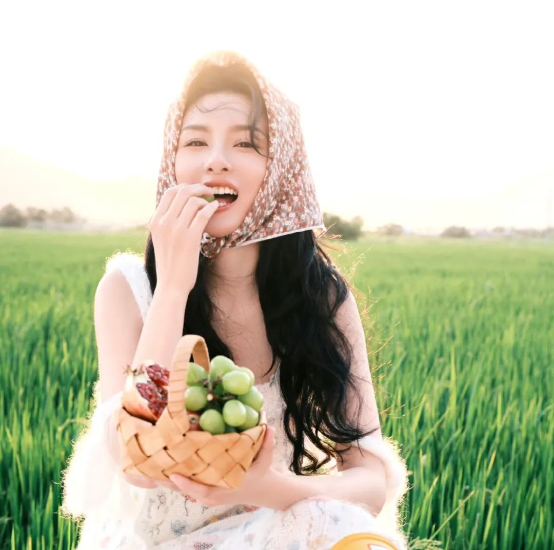 四系95花，各有各的美！