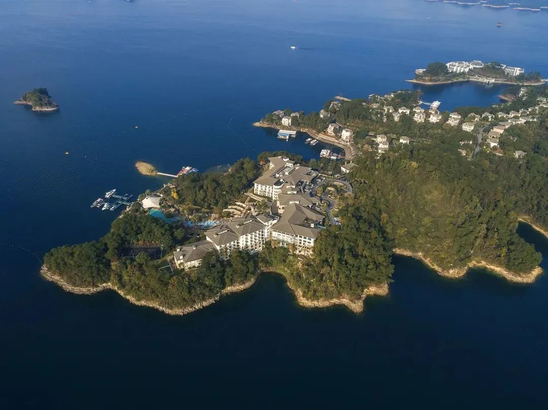 陈妙林直播,开元酒店集团董事长陈妙林