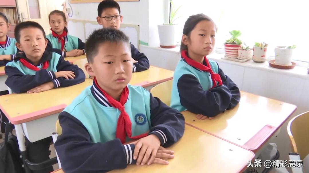 鹿泉：爱护动物共建生态家园