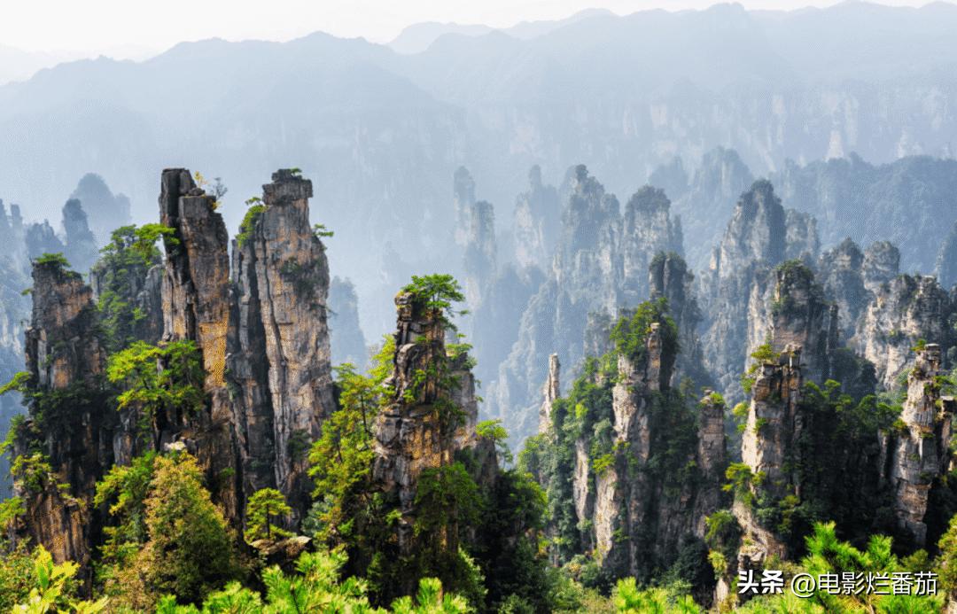 全球票房破亿电影,全球票房破百亿