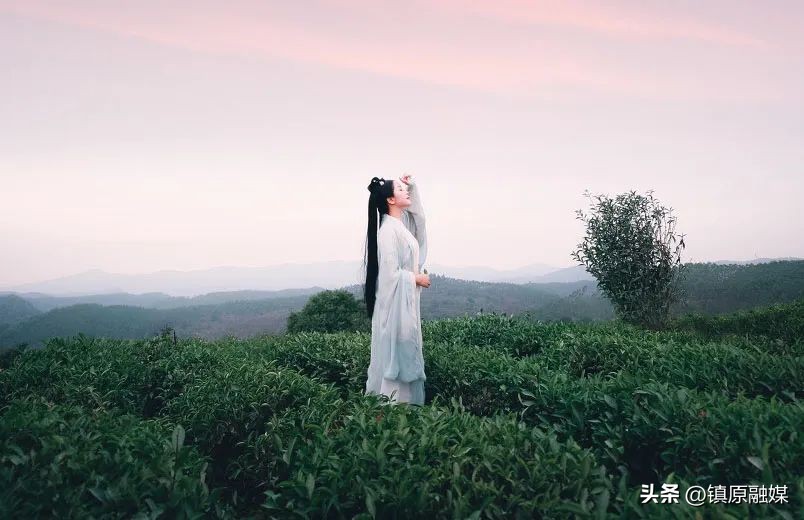 唐僧扫塔为何从下往上扫醍醐灌顶,唐僧扫塔感悟