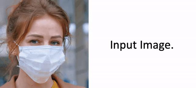 穿越到哈利波特女主角赫敏,穿越权游娶了龙妈的小说