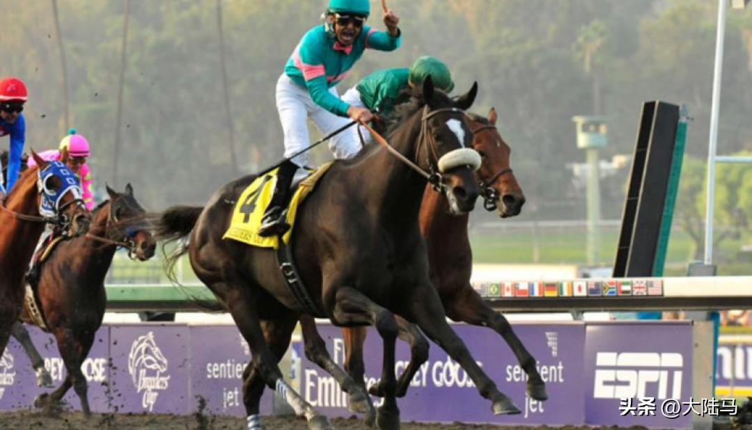 21世纪最伟大比赛,20世纪美国100匹顶级赛马排名