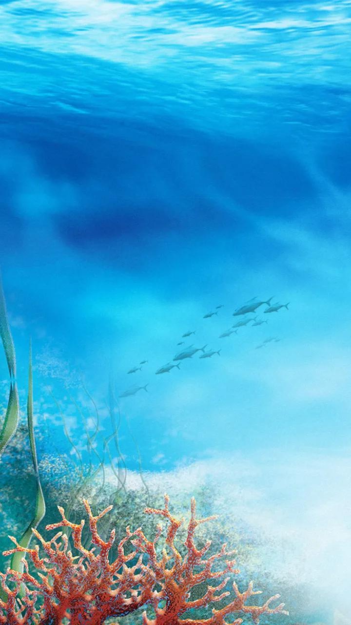 蓝色海景壁纸图片大全,海景壁纸4k超清全面屏