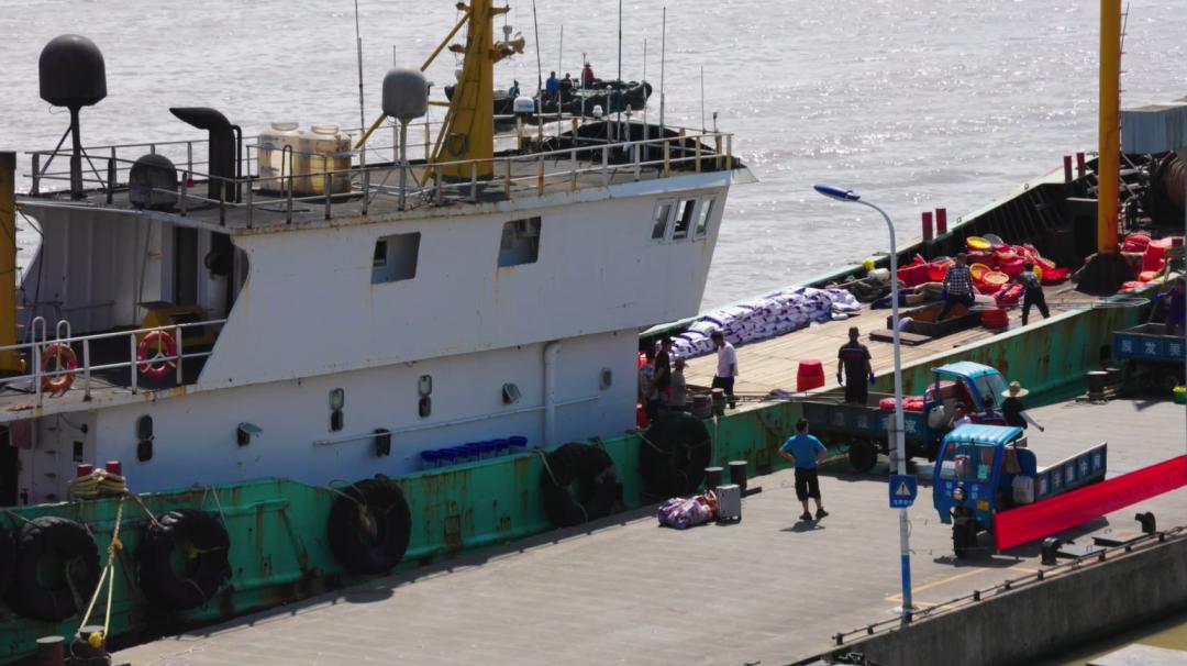 做海鲜直播一年能赚多少钱,返乡创业90后夫妻回家喂牛直播