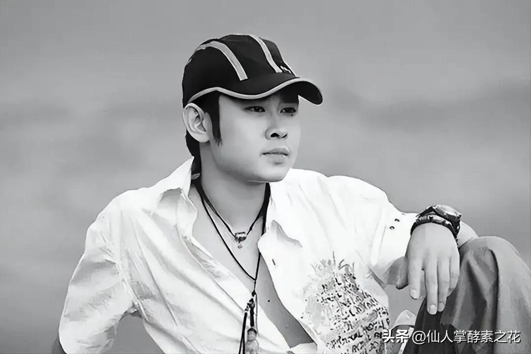 刀郎《翩翩》歌词完整解读,刀郎新歌翩翩解读