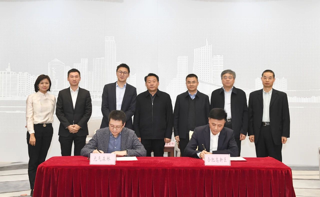 安徽96年创业小伙年入500万,80后创业者合肥创业