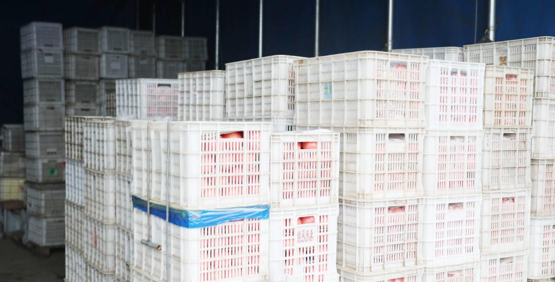 顺鑫菜篮子,顺鑫石门粮油