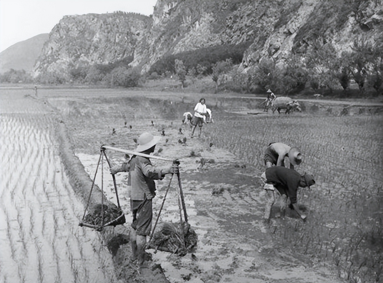 新农合涨价还能继续交吗,新农合涨价六类人不用交
