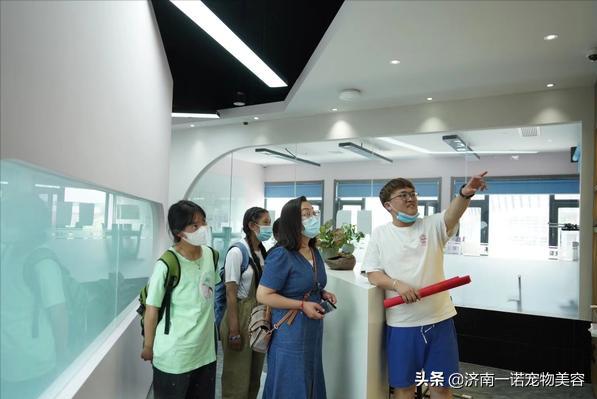 怎样成为宠物美容师的条件与要求,宠物美容师如何成为美容培训讲师