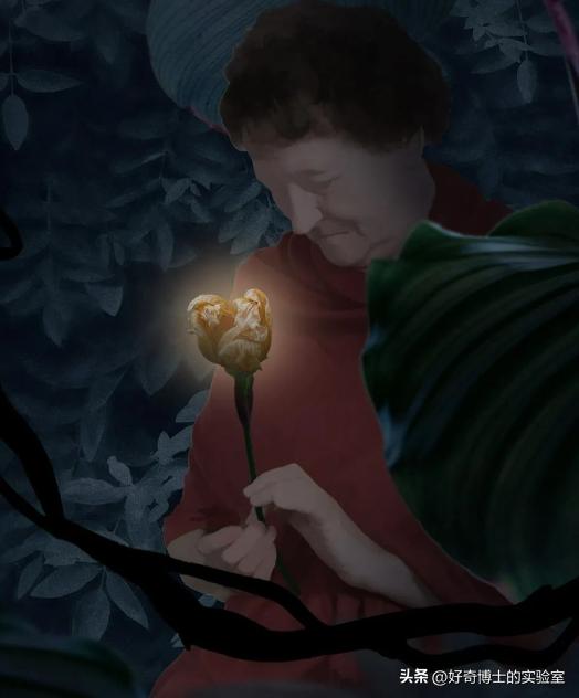 人类最深的洞,人类身上的洞