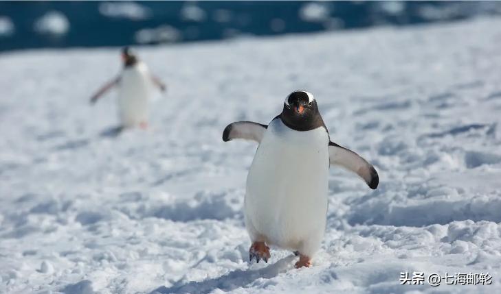 一次完美的旅行指南,一次完美的海岛之旅指南