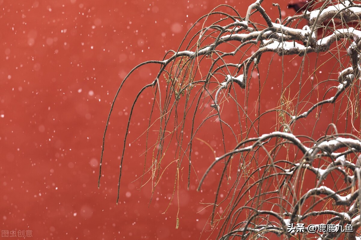 五万元在鹤岗买套房,5万真的能在鹤岗买房吗