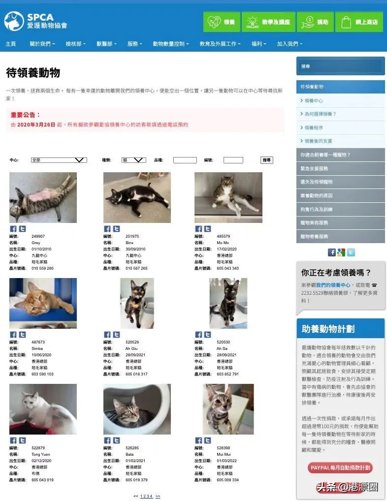 我从内地偷渡到香港的宠物，半路被水警抓走了