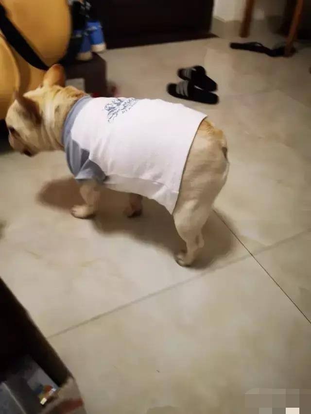 老公帮老婆买卫生巾的搞笑视频,男生帮女生买卫生巾搞笑版