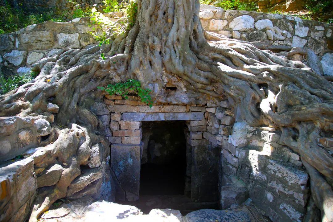 济南近郊旅游专线,济南开通的几条旅游线公交不错