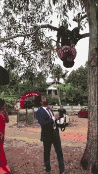 神回复：老鼠贴粘到的，吃了不会犯法吧？网友：自首，争取死缓